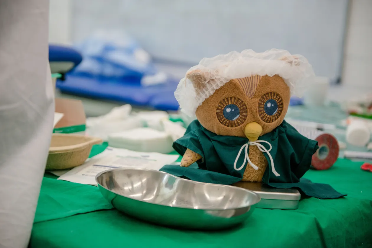 Stoffeule mit OP-Haube