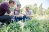 Biologie auf der Wiese