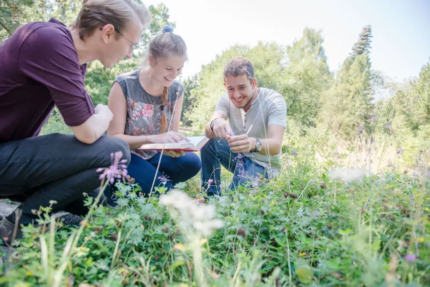 Biologie auf der Wiese